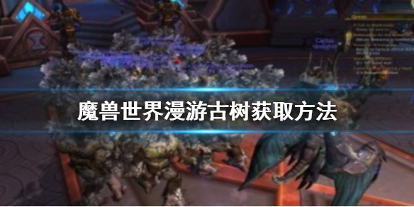星耀国际官方网站图片