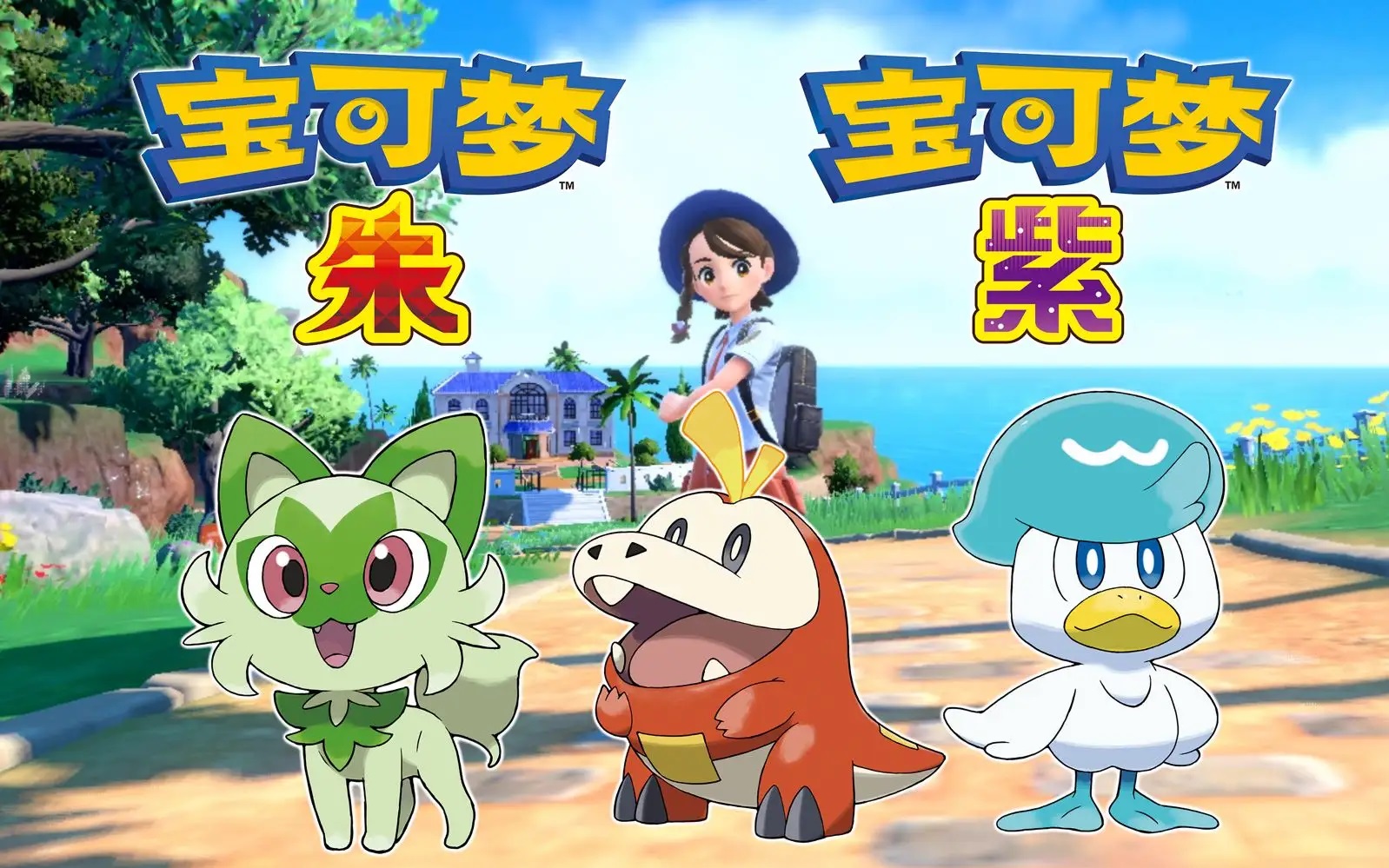 星耀国际官方网站图片