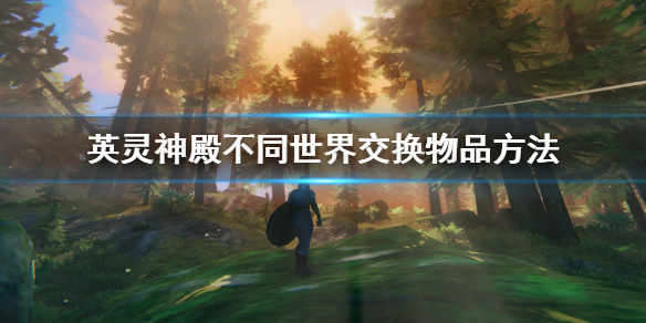 星耀国际官方网站图片