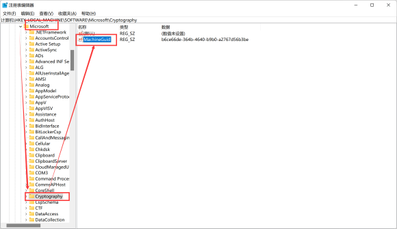 星耀国际官方网站图片
