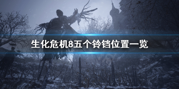 星耀国际官方网站图片