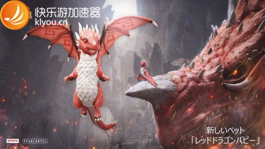 星耀国际官方网站图片
