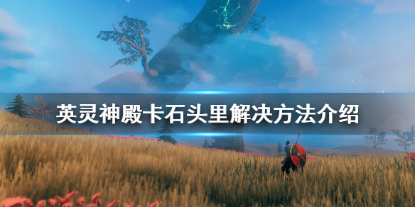 星耀国际官方网站图片