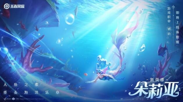 星耀国际官方网站图片