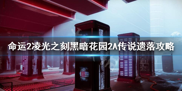 星耀国际官方网站图片