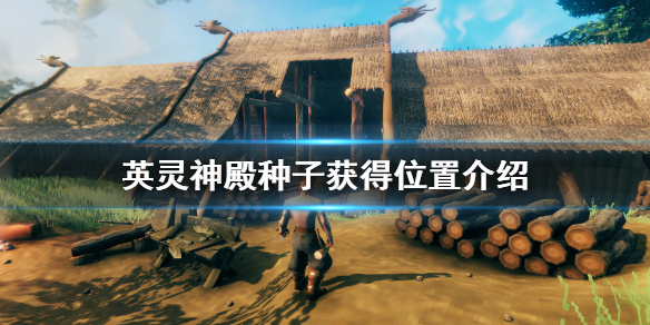 星耀国际官方网站图片