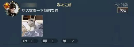 星耀国际官方网站图片
