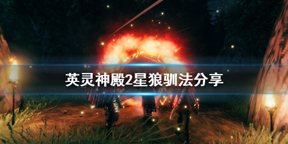 星耀国际官方网站图片
