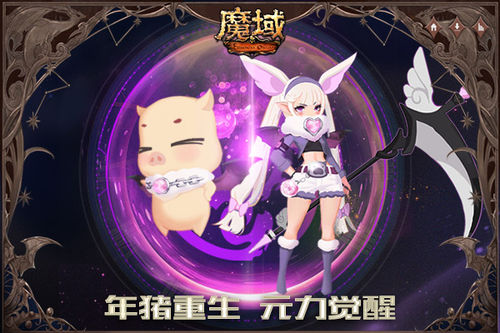 星耀国际官方网站图片