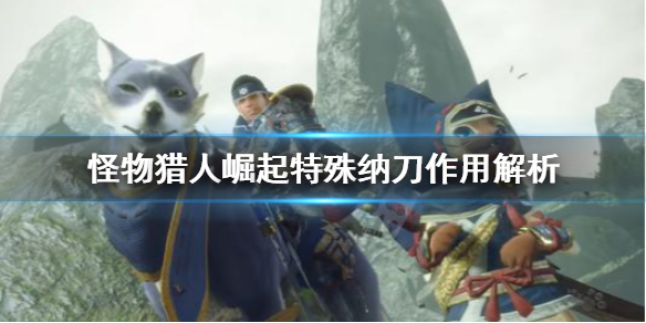 星耀国际官方网站图片