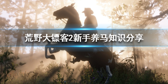 星耀国际官方网站图片