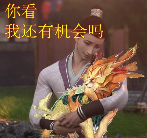 星耀国际官方网站图片