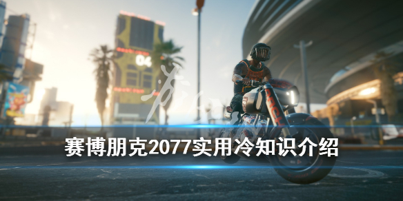 星耀国际官方网站图片