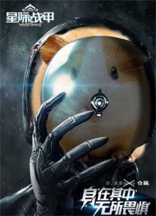星耀国际官方网站图片