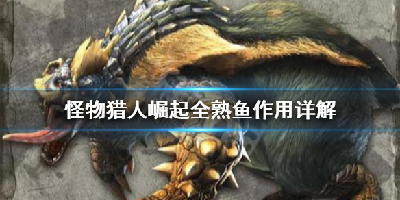 星耀国际官方网站图片