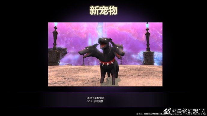 星耀国际官方网站图片