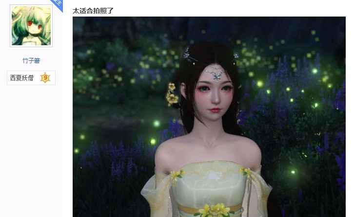 星耀国际官方网站图片
