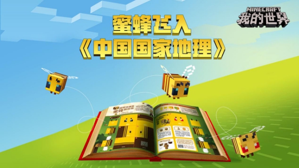 星耀国际官方网站图片