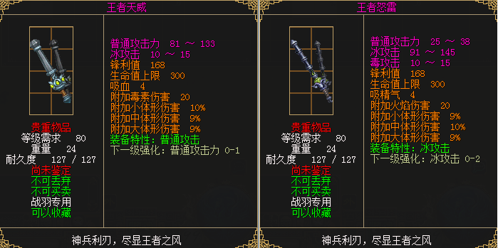 星耀国际官方网站图片
