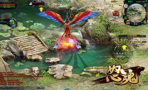 星耀国际官方网站图片