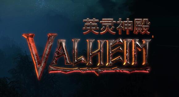 星耀国际官方网站图片