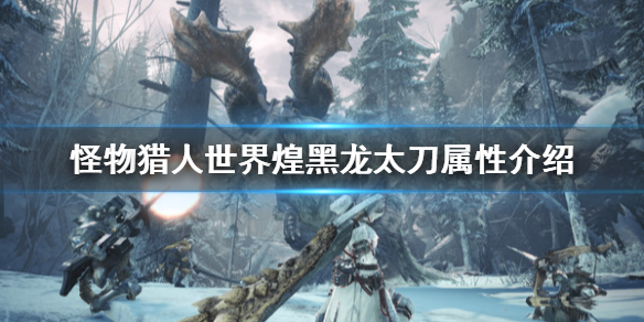 星耀国际官方网站图片