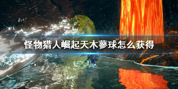 星耀国际官方网站图片