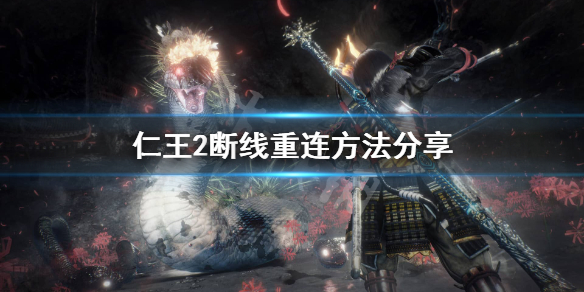 星耀国际官方网站图片