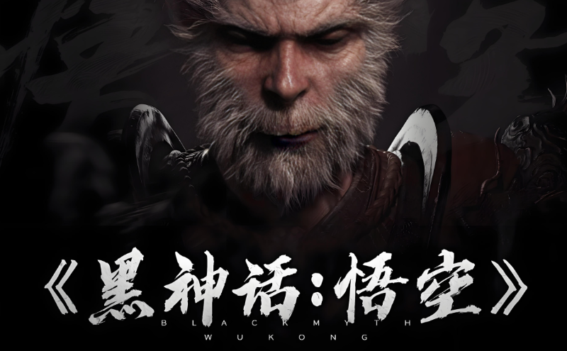 星耀国际官方网站图片
