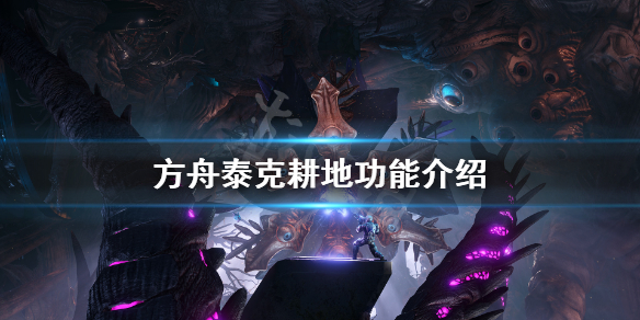星耀国际官方网站图片