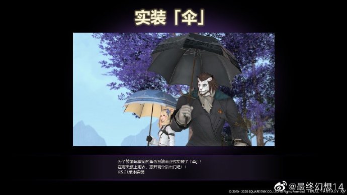 星耀国际官方网站图片