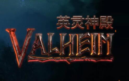 星耀国际官方网站图片