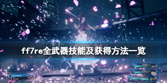 星耀国际官方网站图片