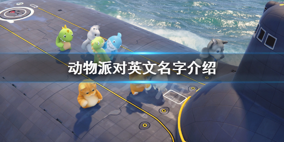星耀国际官方网站图片