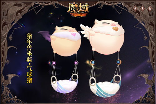 星耀国际官方网站图片