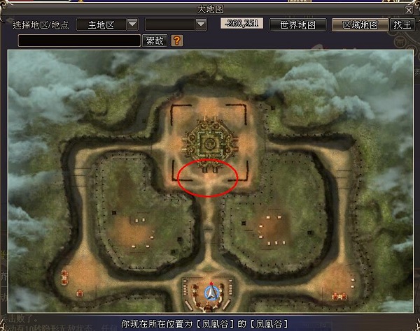 星耀国际官方网站图片
