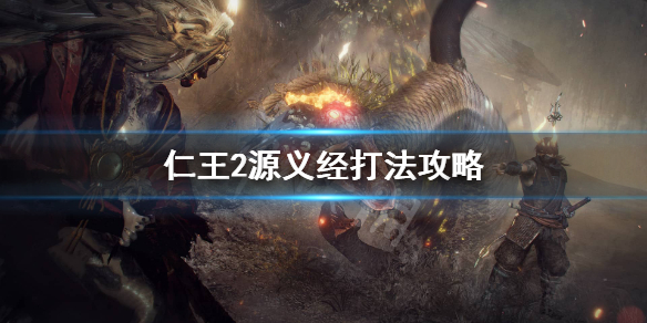 星耀国际官方网站图片