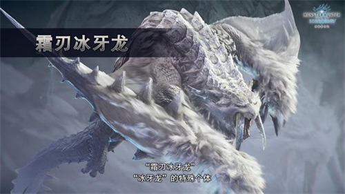 星耀国际官方网站图片