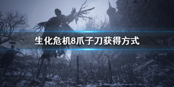 星耀国际官方网站图片