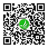 星耀国际 250b8