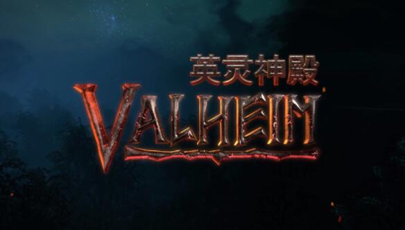 星耀国际官方网站图片