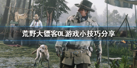 星耀国际官方网站图片