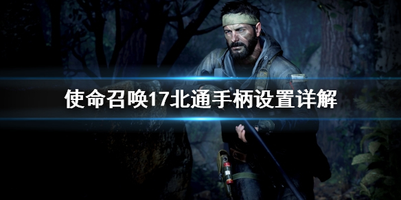 星耀国际官方网站图片