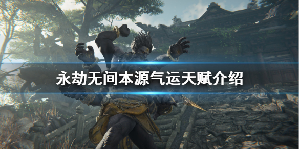 星耀国际官方网站图片
