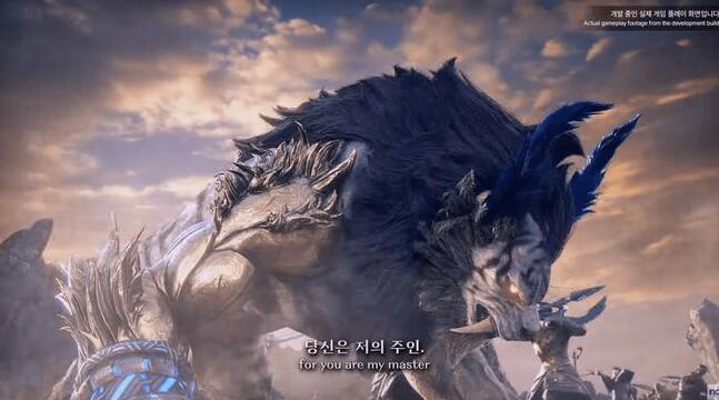星耀国际官方网站图片
