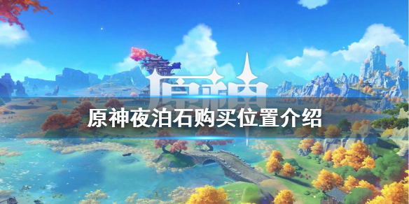 星耀国际官方网站图片