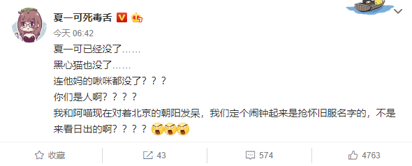 星耀国际官方网站图片