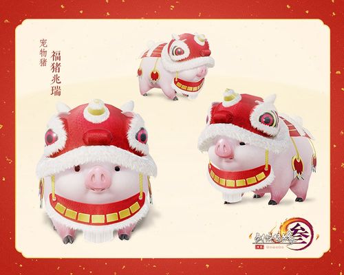 星耀国际官方网站图片