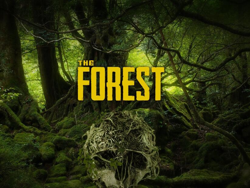 星耀国际官方网站图片