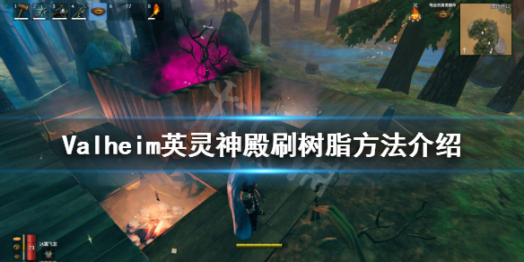 星耀国际官方网站图片
